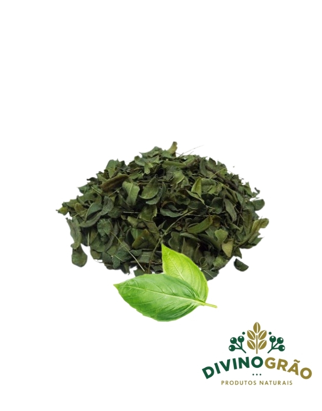 MORINGA ERVA 🍃🍃